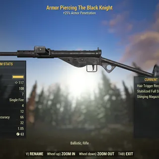 Dev Weapon | LVL 1 or 50 | The Black Knight |