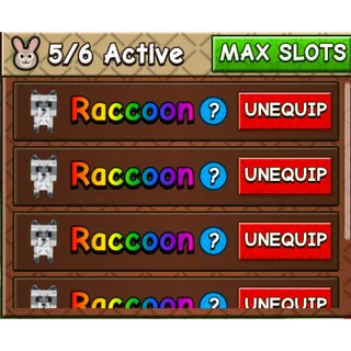 5X Raccoon (Grow a garden 2)