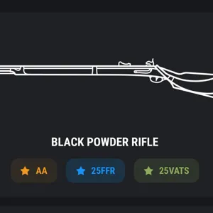Weapon | AA 25 25LVC Black Powder