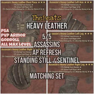 PSA Heavy Leather PVP Set 5/5