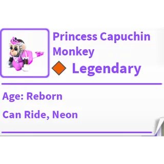 NR Princess Capuchin Monkey