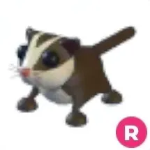R Sugar Glider