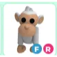 FR albino monkey - fly ride