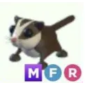 MFR sugar glider - mega fly ride
