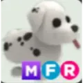 MFR Dalmatian - mega fly ride