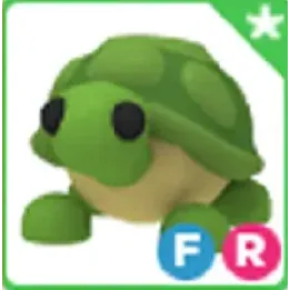 FR turtle - fly ride turtle