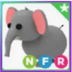 NFR elephant - Neon fly ride adopt me
