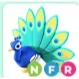 nfr peacock - neon fly ride