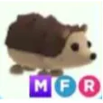 MFR HEDGEHOG - mega fly ride