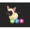 NFR siamese cat - neon fly ride