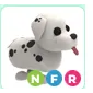 NFR dalmatian - Neon fly ride