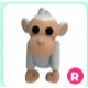 R albino monkey - ride