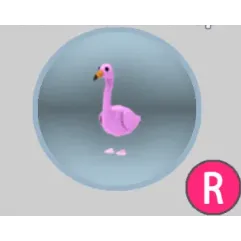 ride flamingo - ride adopt me