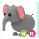 NR elephant - Neon ride adopt me