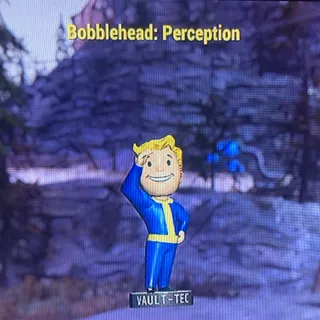 1k Perception Bobbles