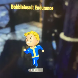 1000 Endurance Bobbles
