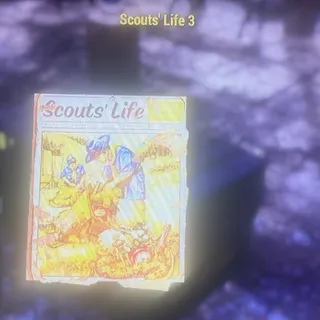 100 Scouts life 3s