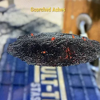 Scorched Ashes