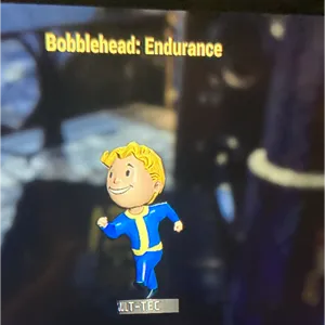 100 Endurance Bobbles
