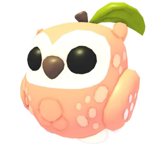 peach owl