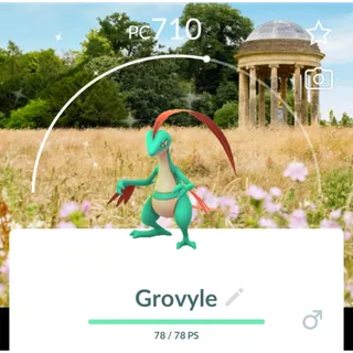 Pokémon Go Shiny Grovyle National Trust