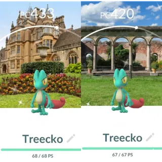 Pokémon Go Shiny Treecko National Trust