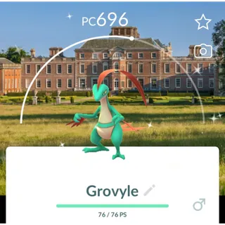 Pokémon Go Shiny Grovyle National Trust