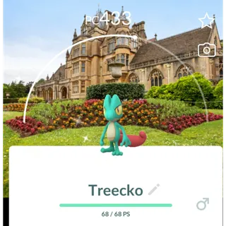 Pokémon Go Shiny Treecko National Trust