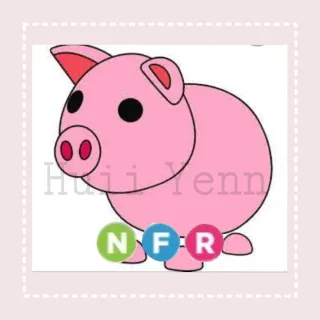 Pet | NFR PIG