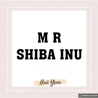 Pet | MR SHIBA INU