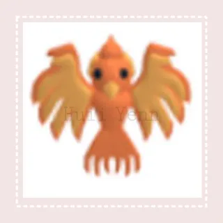 Limited | PHOENIX PLUSH