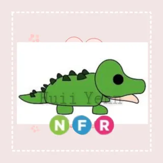Pet | NFR CROCODILE
