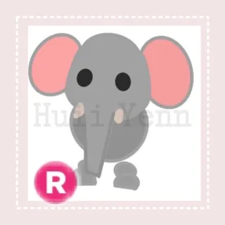 Pet | R ELEPHANT