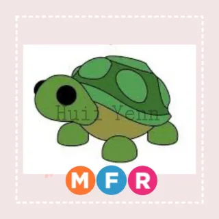 Pet | MFR TURTLE