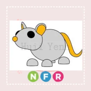 Pet | NFR GOLDEN RAT