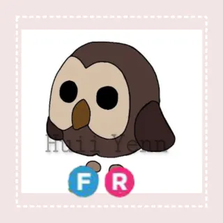 Pet | FR OWL
