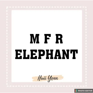 Pet | MFR ELEPHANT