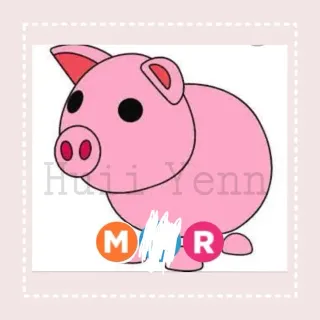 MR PIG