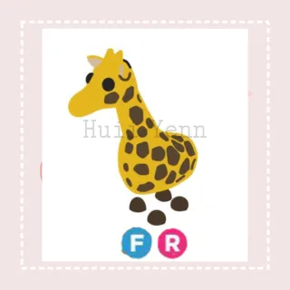 Pet | FR GIRAFFE