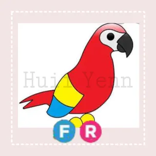 Pet | FR PARROT