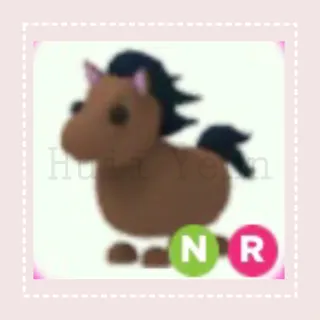 Pet | NR HORSE