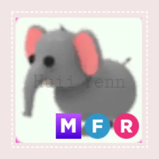 Pet | MFR ELEPHANT