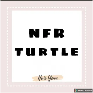 Pet | NFR TURTLE