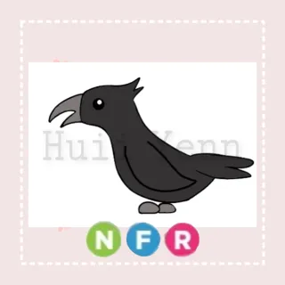 Pet | NFR CROW