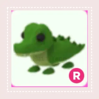 Pet | R CROCODILE