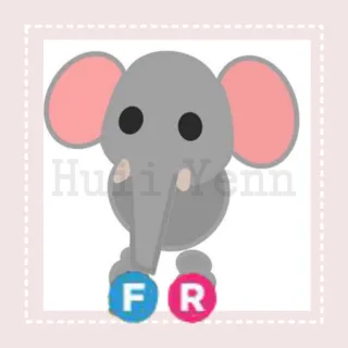 Pet | FR ELEPHANT - FULLGROWN