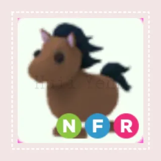 Pet | NFR HORSE