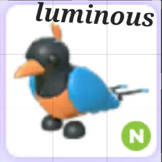 Neon Bird Of Paradise