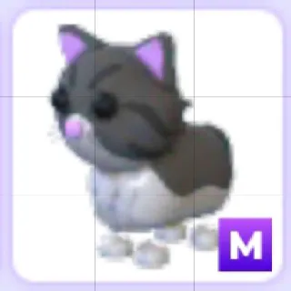 Mega Persian Cat
