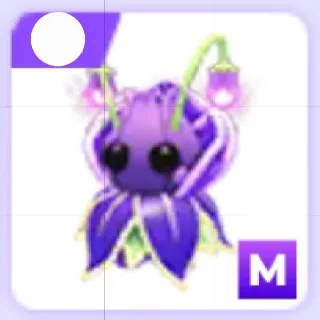 Mega Violet Friend